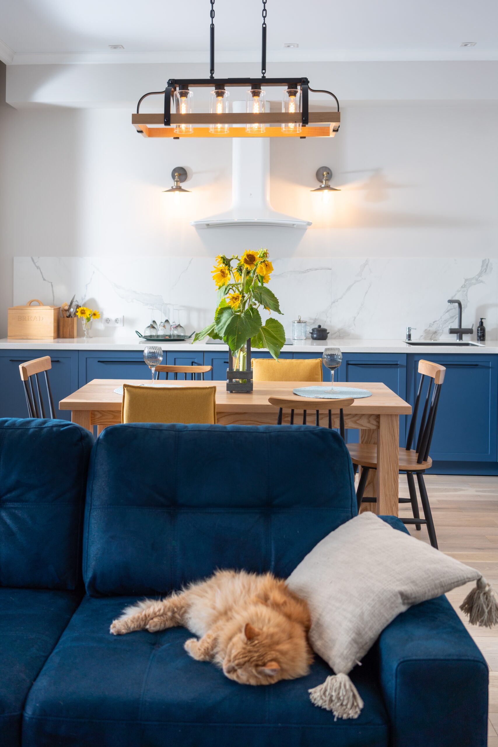 Luxury Furniture Designs for Every Space